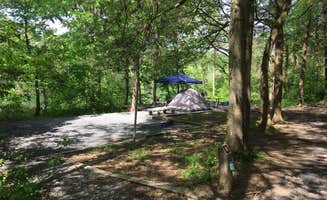 Tara S.'s photo at Andy Guest/Shenandoah River State Park Campground near Toms Brook, VA