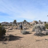 Review photo of Ryan Campground — Joshua Tree National Park by Stefanie W., May 13, 2019