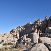 Review photo of Ryan Campground — Joshua Tree National Park by Stefanie W., May 13, 2019
