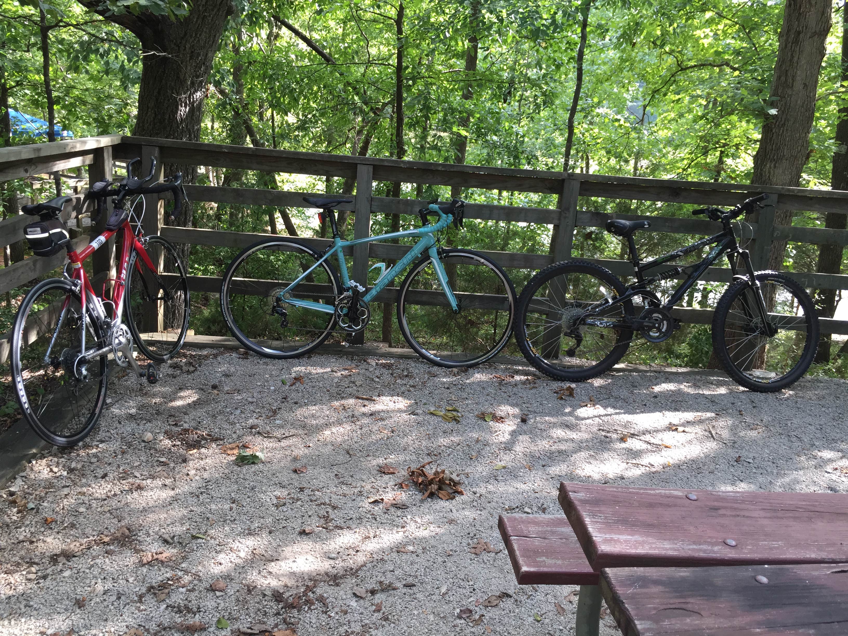 Camper submitted image from Mistletoe State Park Campground - 3