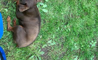 Amanda + Will's photo of camping with pets at Riverside Campground & Riverside Roadhouse near Rebersburg, PA