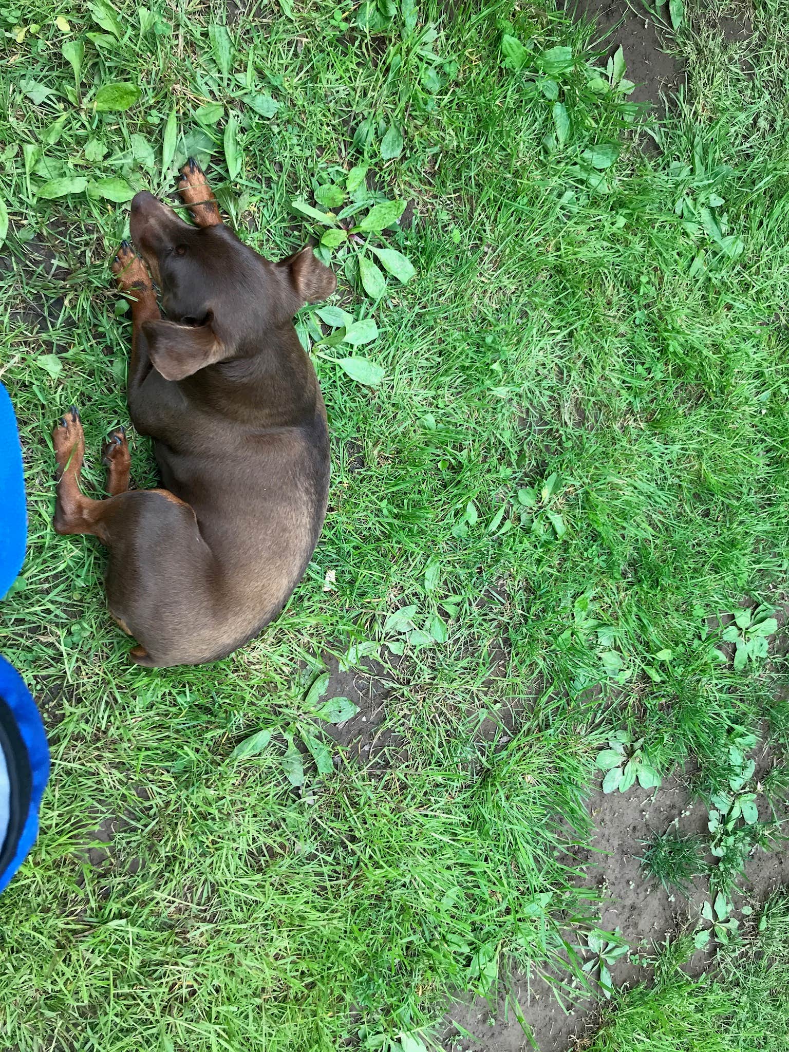 Camper-submitted photo at Riverside Campground &amp; Riverside Roadhouse near New Columbia, PA