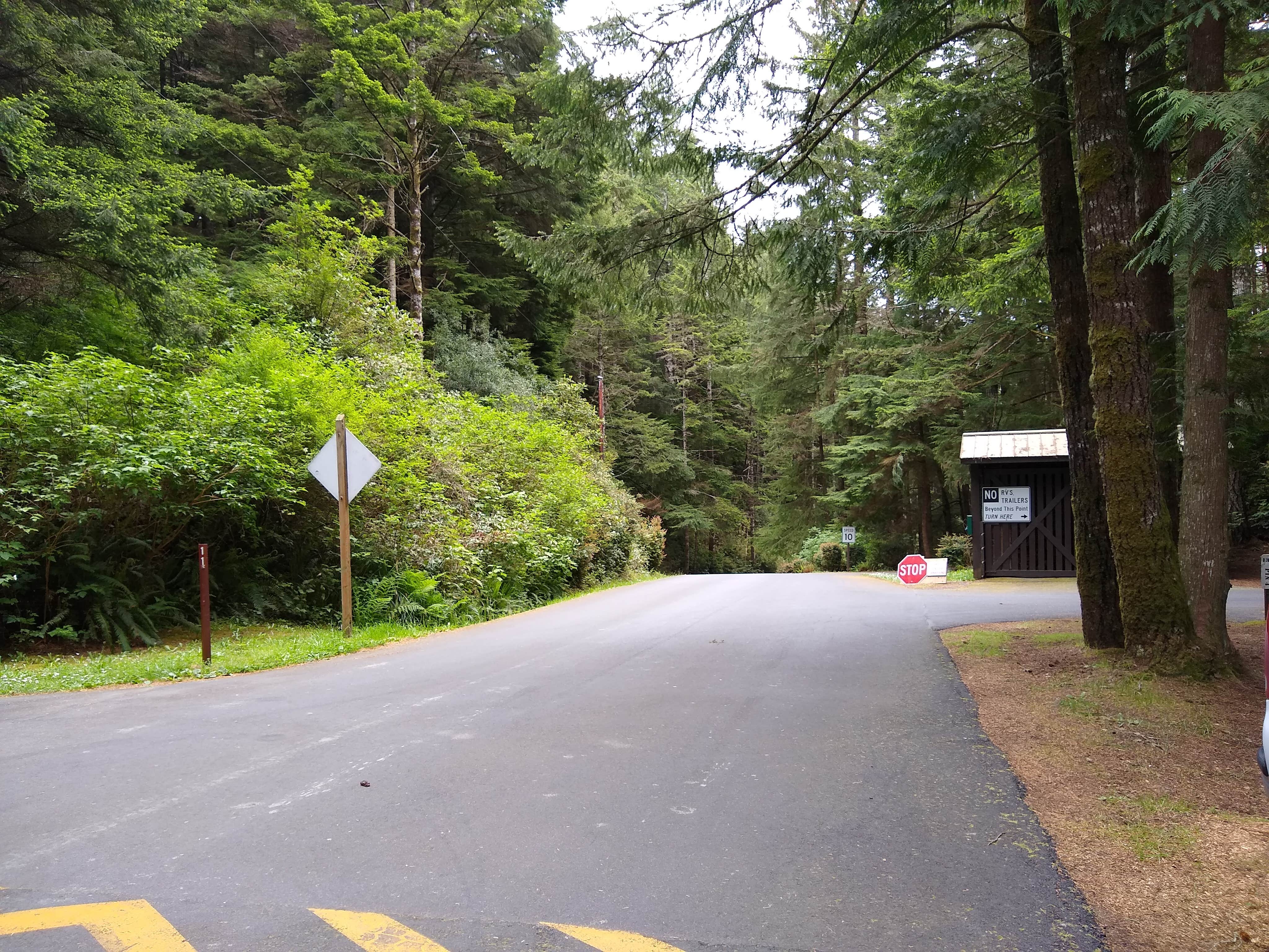 Camper submitted image from Umpqua Lighthouse State Park Campground - 3