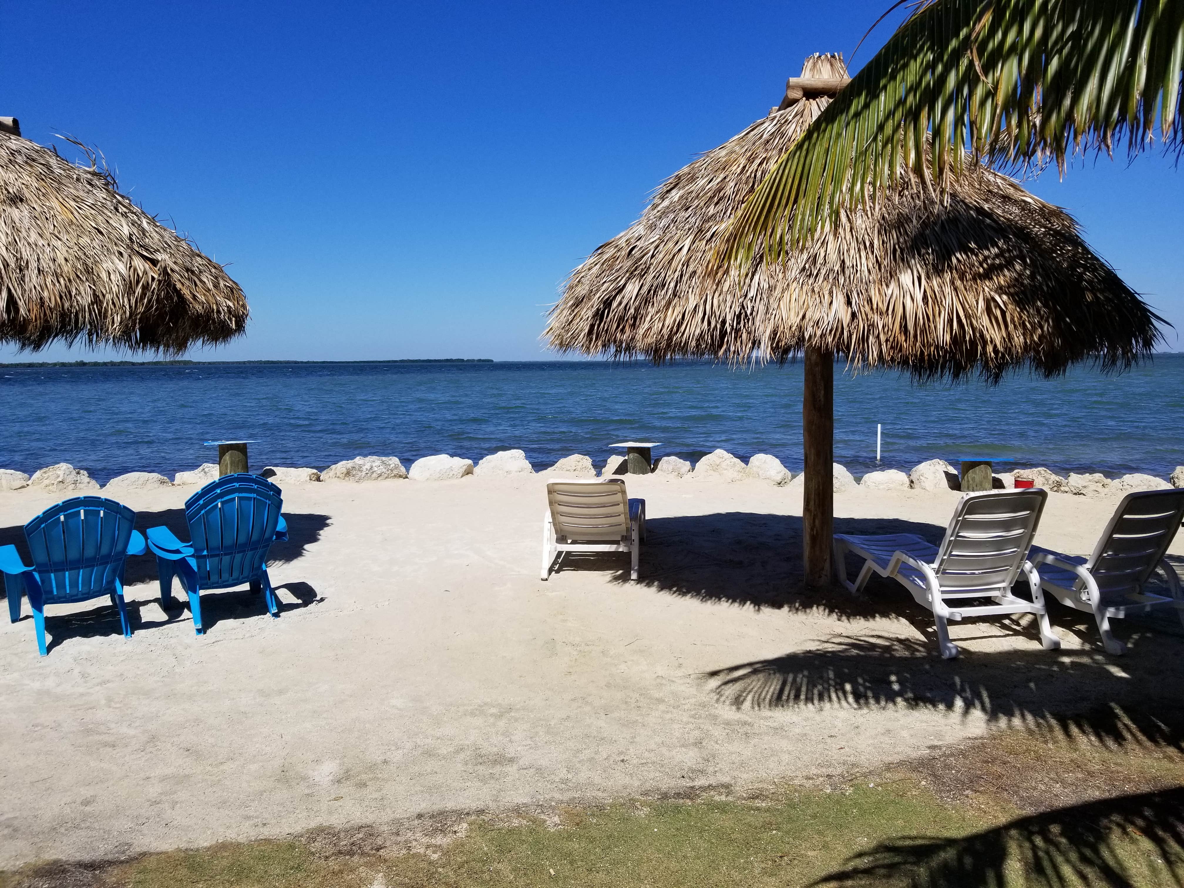 Camper-submitted photo at Kings Kamp RV Park Tent Camping and Bay Front Marina near Doral, FL