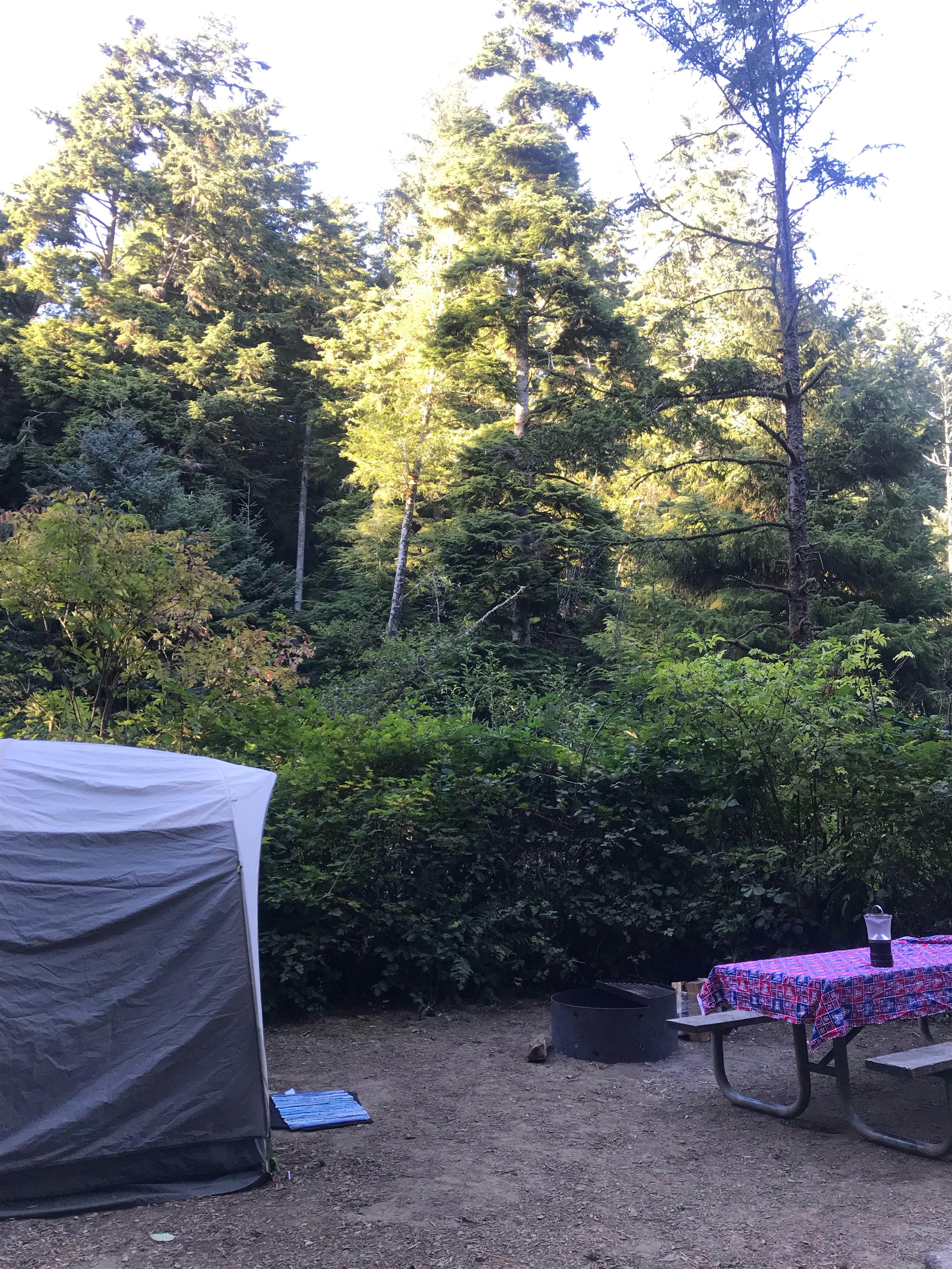 Cha C.'s photo at Beverly Beach State Park Campground near Lincoln City, OR