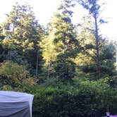 Review photo of Beverly Beach State Park Campground by Cha C., May 13, 2019
