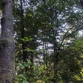 Review photo of Beverly Beach State Park Campground by Cha C., May 13, 2019