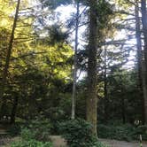 Review photo of Beverly Beach State Park Campground by Cha C., May 13, 2019