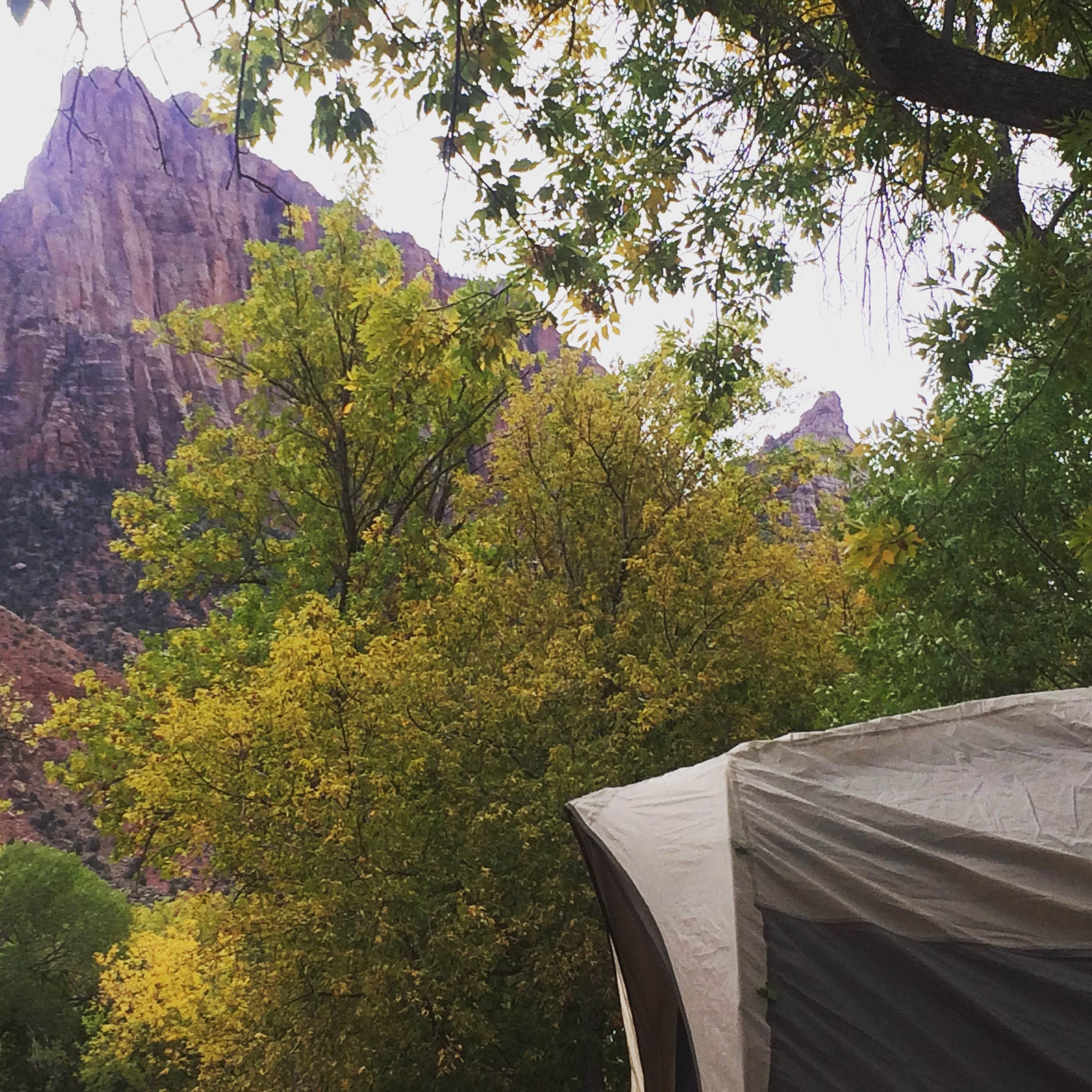 Cha C.'s photo at Zion Dump Station near Rockville, UT
