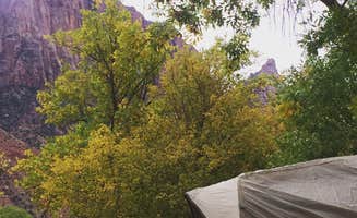Cha C.'s photo at South Campground — Zion National Park near Zion National Park