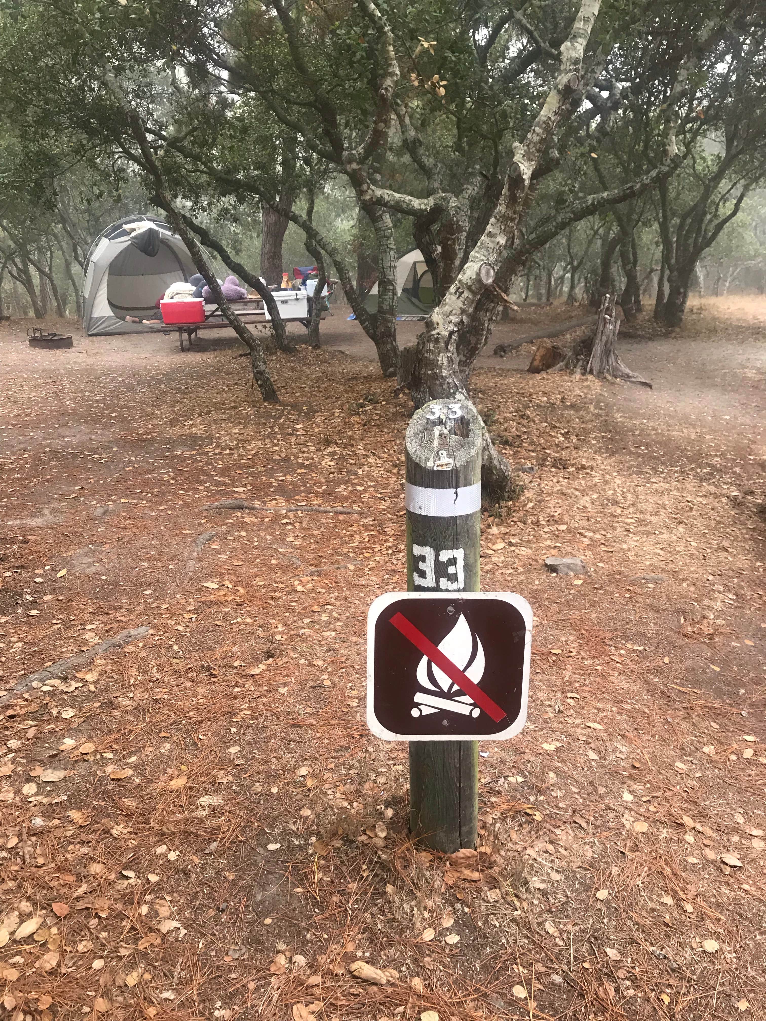 Cha C.'s photo at Veteran's Memorial Park Campground near Carmel Valley Village, CA