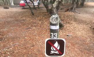 Cha C.'s photo at Veteran's Memorial Park Campground near Seaside, CA