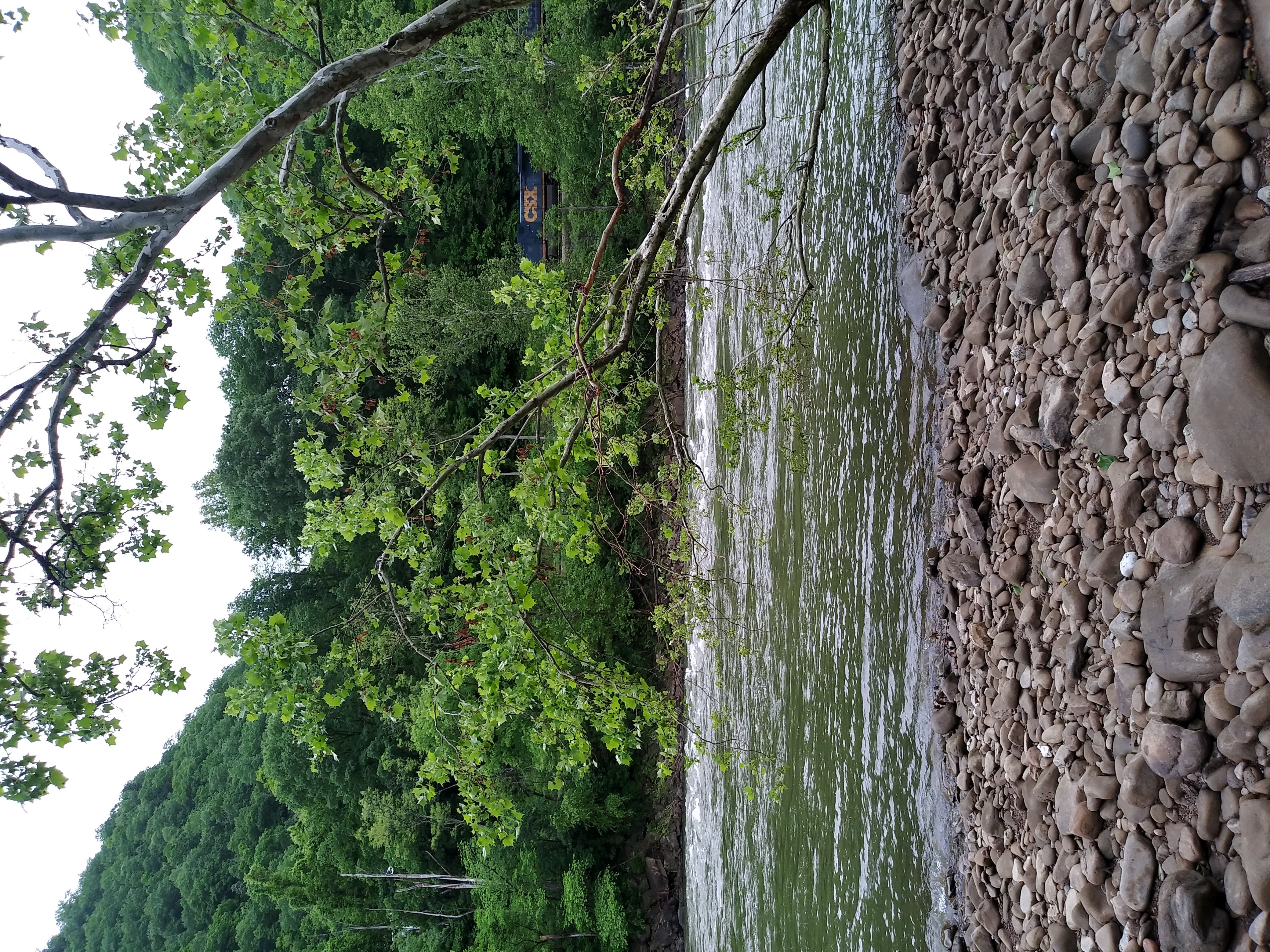 At the river, just steps from my campsite