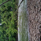 Review photo of Grandview Sandbar Campground — New River Gorge National Park and Preserve by Todd V., May 13, 2019