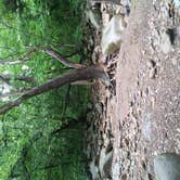 Review photo of Grandview Sandbar Campground — New River Gorge National Park and Preserve by Todd V., May 13, 2019