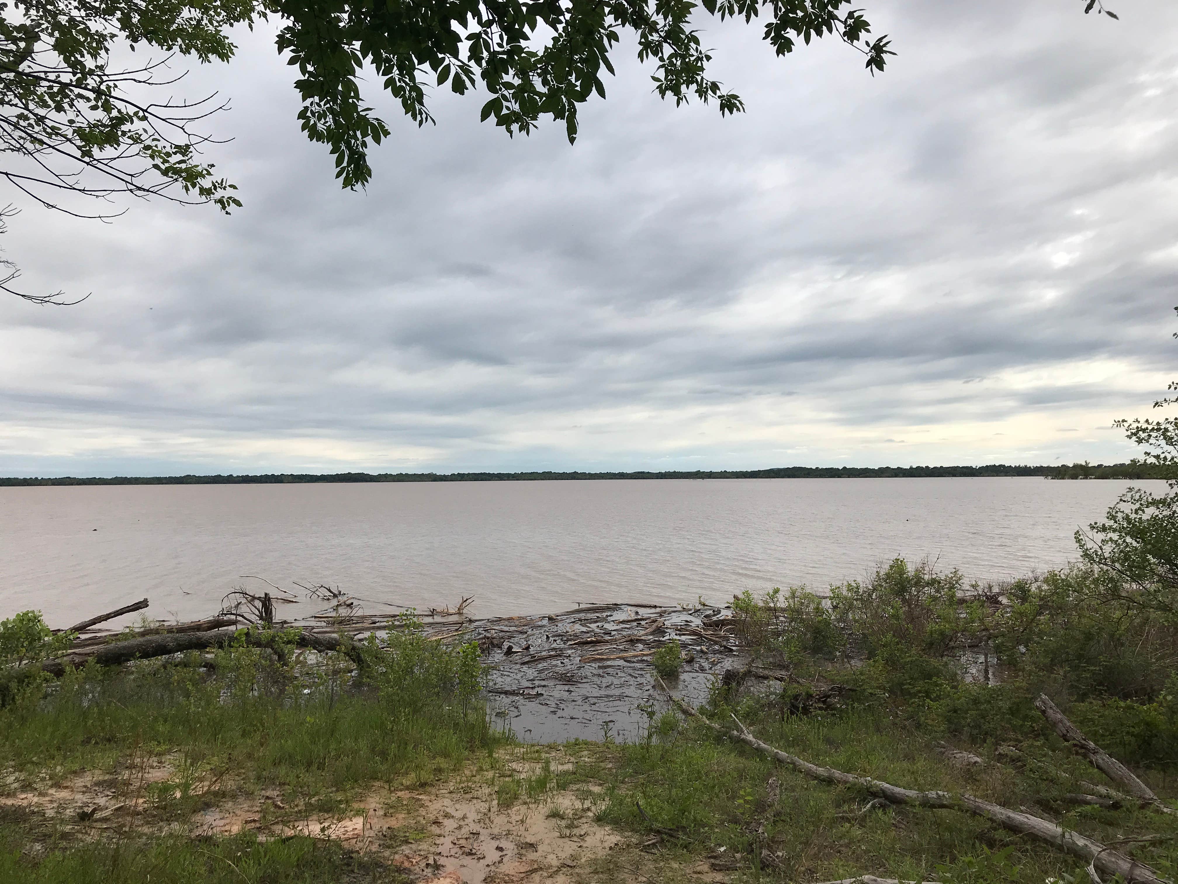 Camper submitted image from Dogwood Campground — Lake Eufula State Park - 5