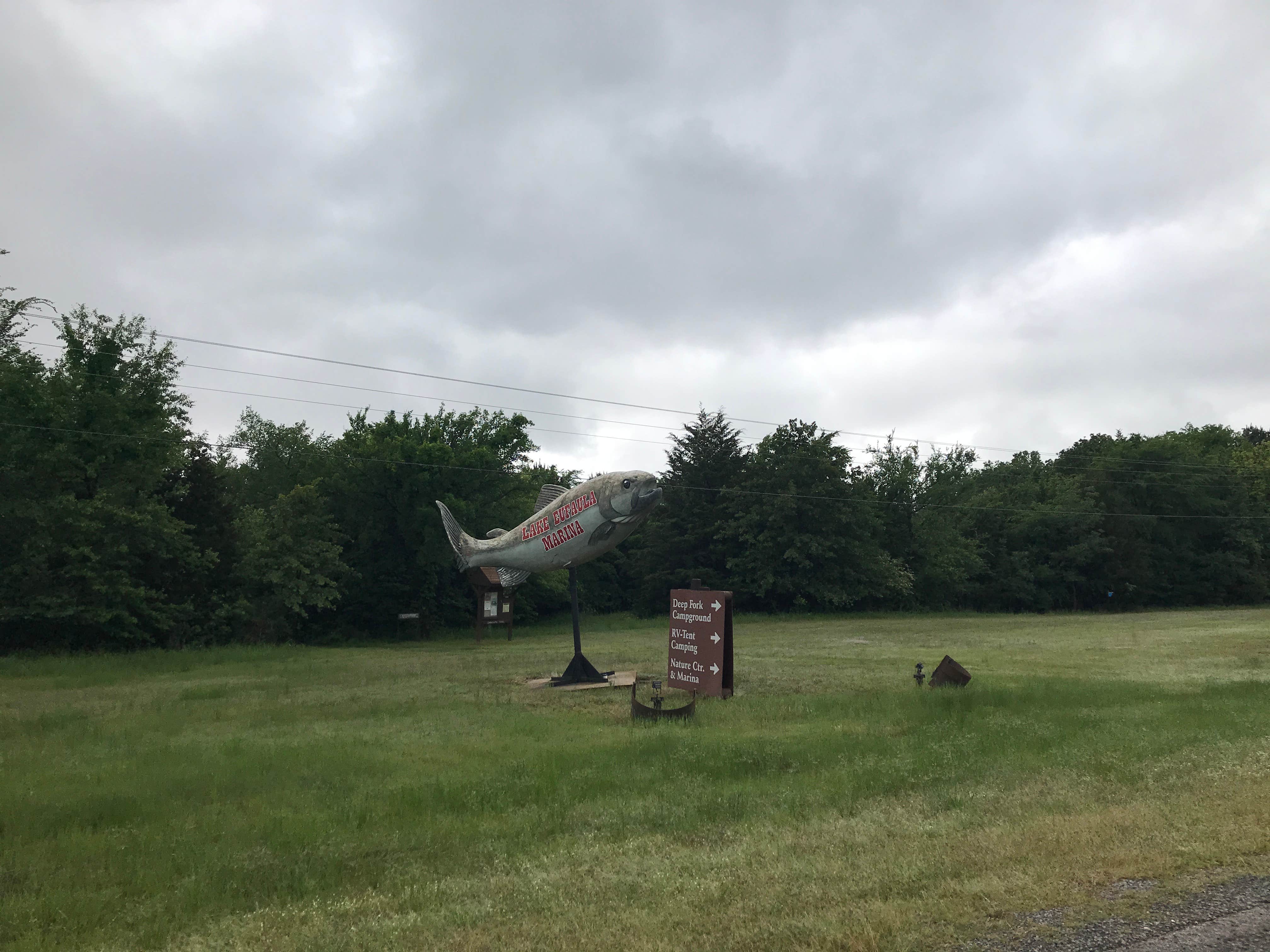 Camper submitted image from Dogwood Drive - Lake Eufaula State Park - 3