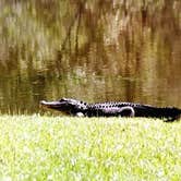 Review photo of Magnolia Springs State Park Campground by Joel R., May 14, 2019