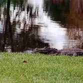 Review photo of Magnolia Springs State Park Campground by Joel R., May 14, 2019