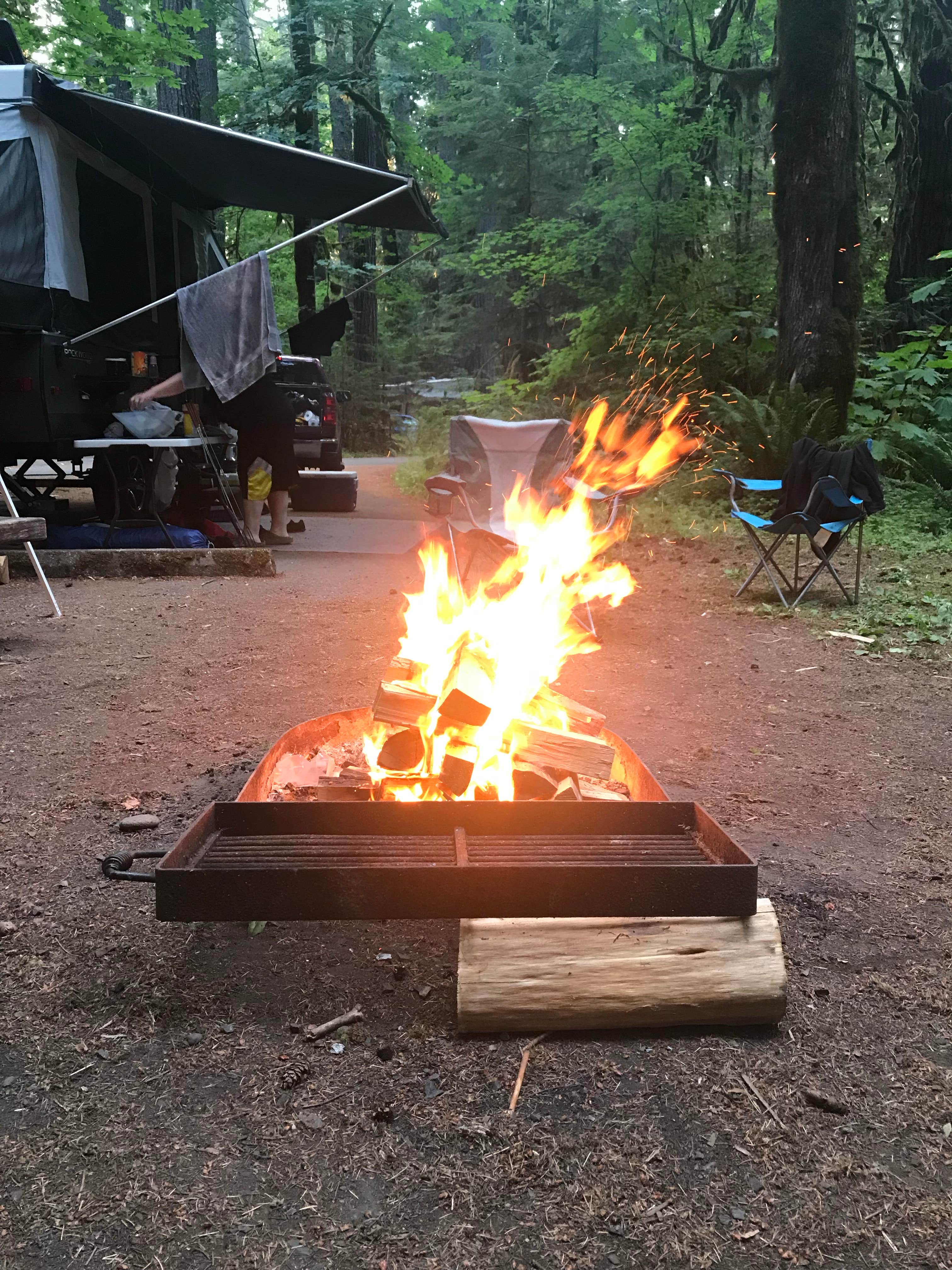 Sharla H.'s photo at Iron Creek Campground near Randle, WA