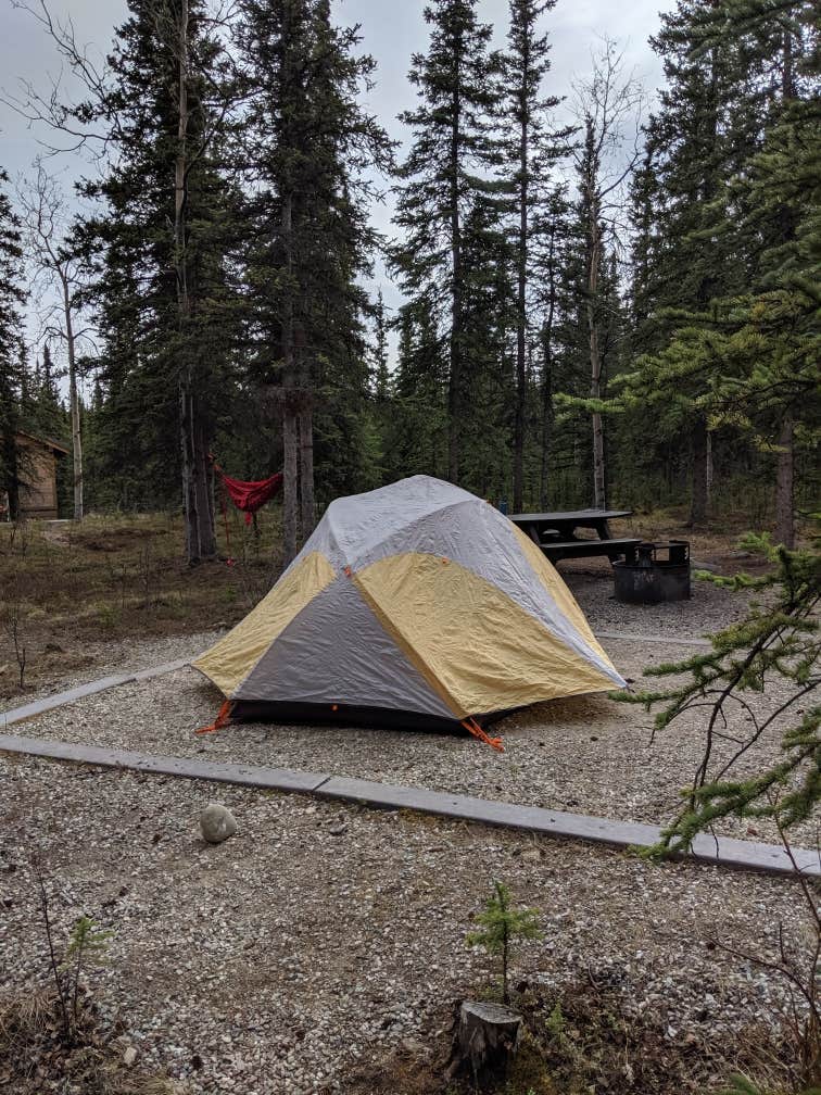 Hannah C.'s photo at Riley Creek Campground — Denali National Park near Denali National Park