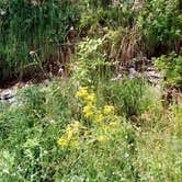 Review photo of Franklin D Roosevelt State Park Campground by Joel R., May 14, 2019