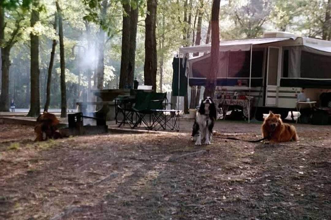 Joel R.'s photo at Magnolia Springs State Park Campground near Twin City, GA
