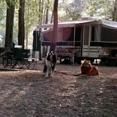 Review photo of Magnolia Springs State Park Campground by Joel R., May 14, 2019