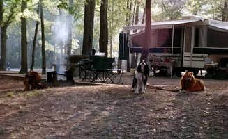 Joel R.'s photo at Magnolia Springs State Park Campground near Swainsboro, GA