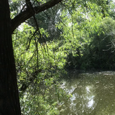 Review photo of Kelsey Creek Campground — Clear Lake State Park by Darrel F., May 14, 2019