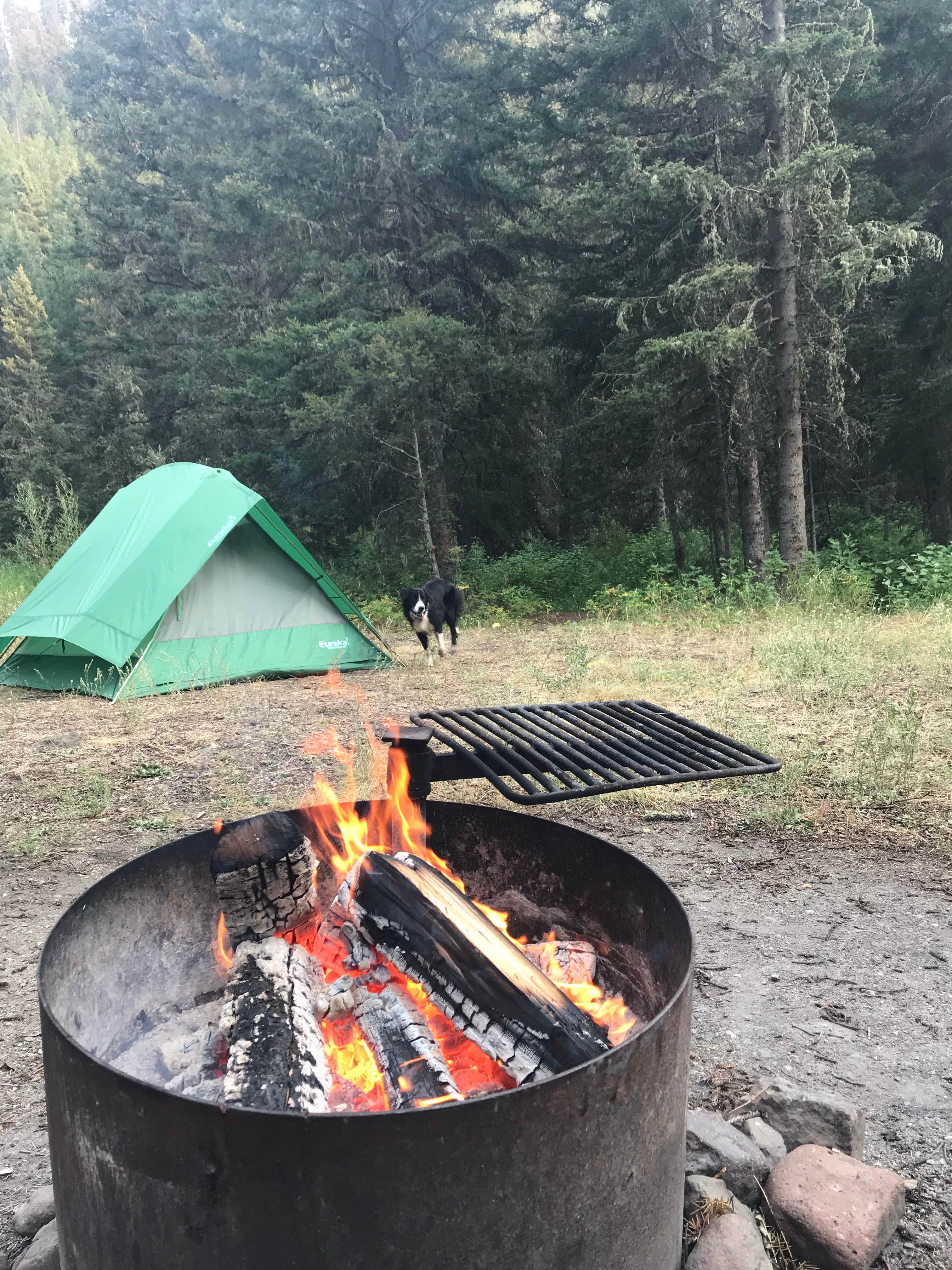 Camper-submitted photo at Swan Creek Campground near Big Sky, MT
