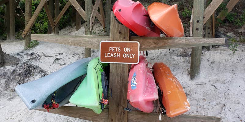 Camper submitted image from Woods Ferry River Camp — Suwannee River Wilderness Trail