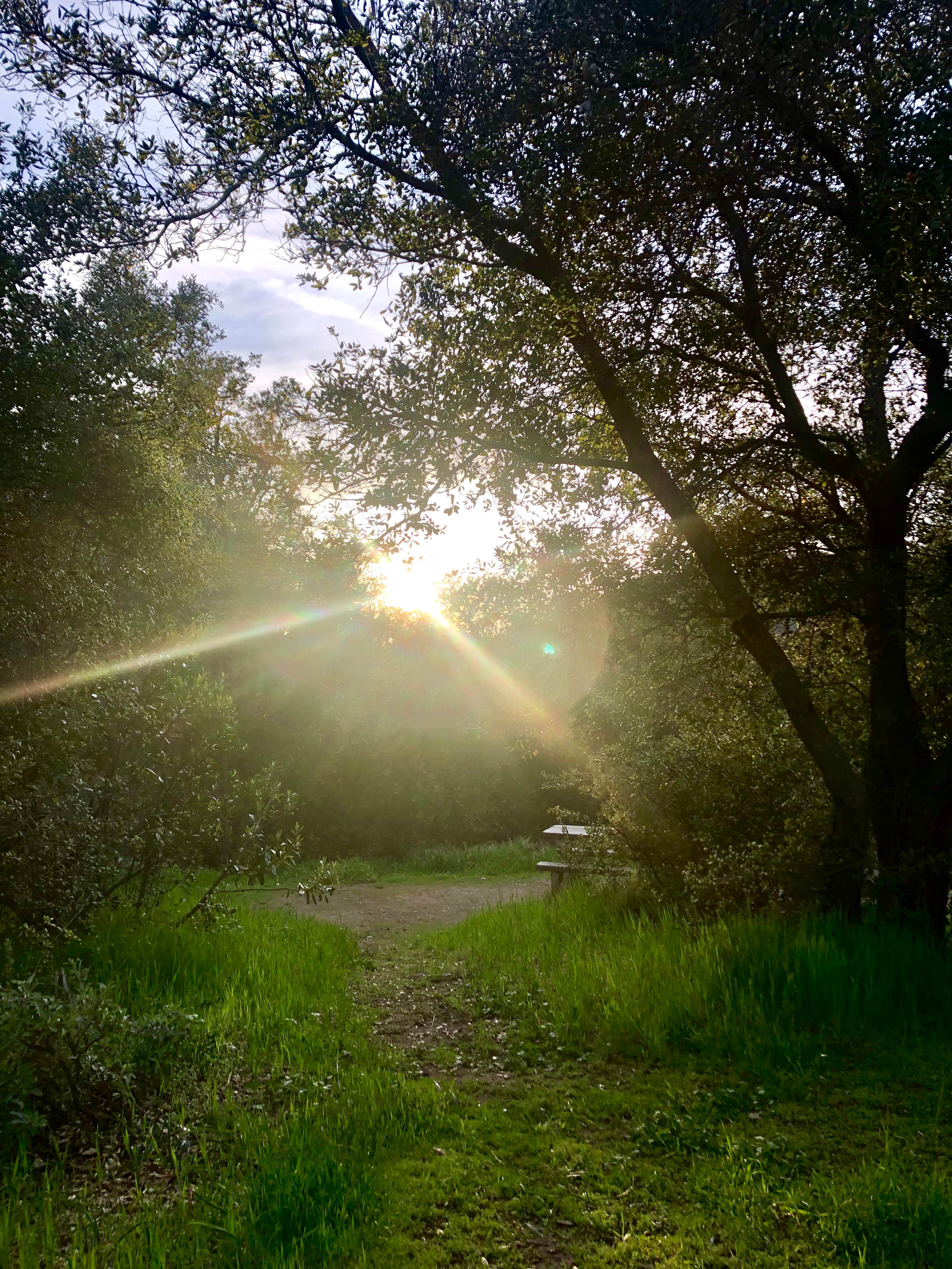 Camper-submitted photo at Blue Jay Campground - TEMPORARILY CLOSED near Quail Valley, CA