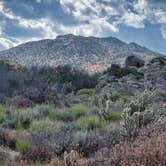 Review photo of Culp Valley Primitive Campground — Anza-Borrego Desert State Park by Benny F., May 14, 2019