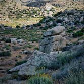 Review photo of Culp Valley Primitive Campground — Anza-Borrego Desert State Park by Benny F., May 14, 2019