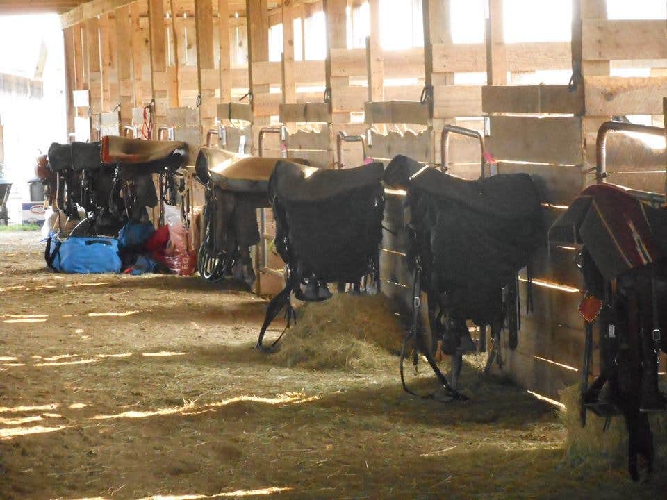 Camper-submitted photo at True West Campground & Stables near Rugby, TN