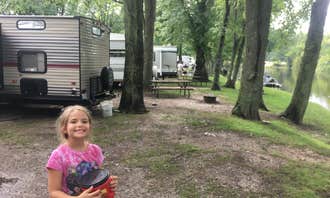 Camping near Poncho's Pond RV Park: Henry's Landing Campground, Custer, Michigan