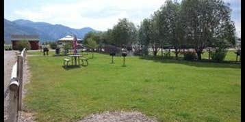 Camper submitted image from Wolf Den RV Park