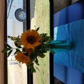Review photo of The Cove RV Resort and Campground by Cat R., May 14, 2019