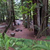 Review photo of Jedidiah Smith Campground — Redwood National Park by Stefanie W., May 14, 2019