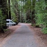 Review photo of Jedidiah Smith Campground — Redwood National Park by Stefanie W., May 14, 2019