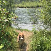 Review photo of Toketee Lake Campground — Umpqua National Forest by Tammera K., May 14, 2019