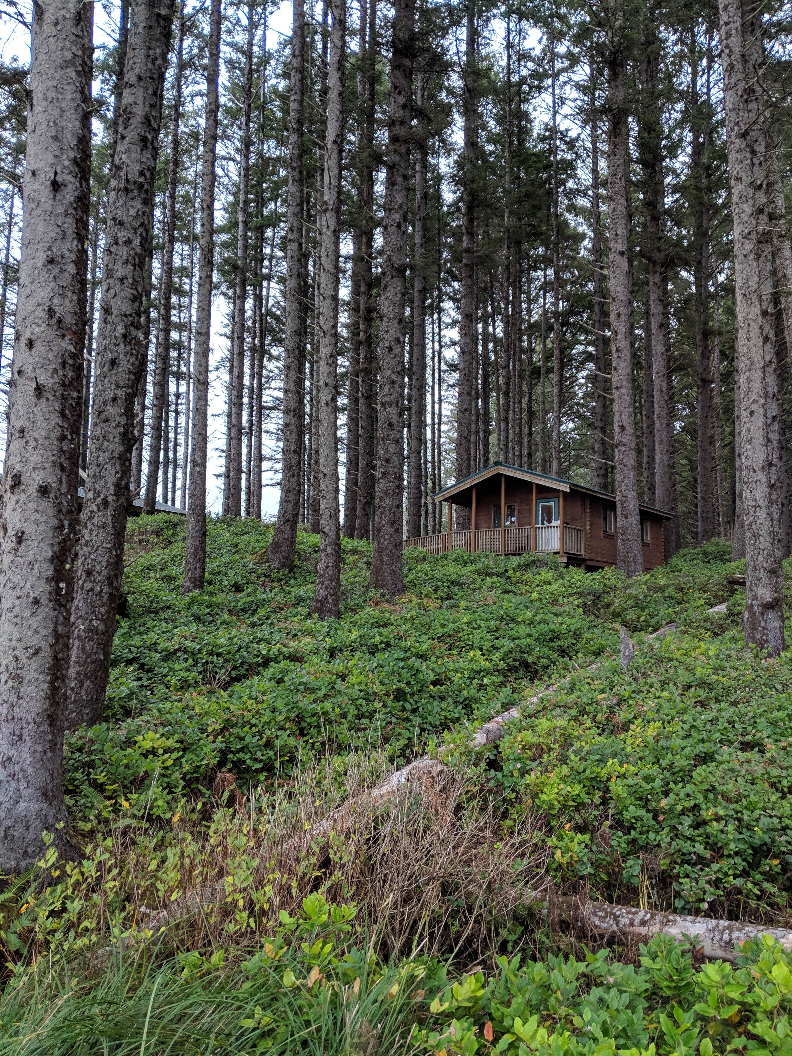 Hayden B.'s photo of glamping accommodations at Cape Lookout State Park Campground near Arch Cape, OR