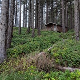 Review photo of Cape Lookout State Park Campground by Hayden B., May 15, 2019