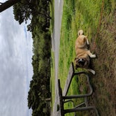 Review photo of Nehalem Bay State Park Campground by Hayden B., May 15, 2019