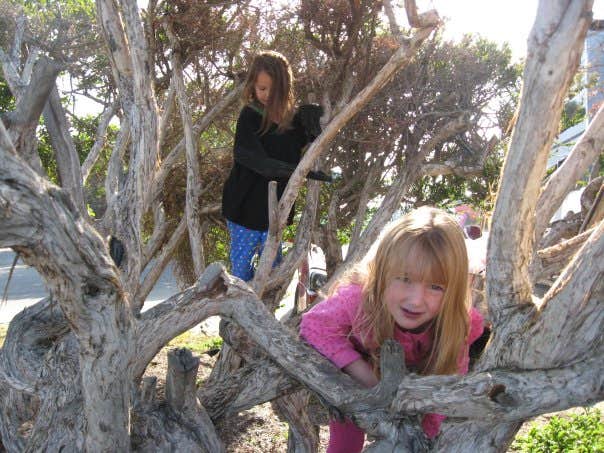 Camper-submitted photo at South Carlsbad State Beach Campground in California