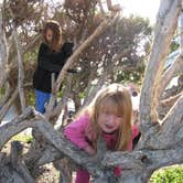 Review photo of South Carlsbad State Beach Campground by Lisa C., May 15, 2019