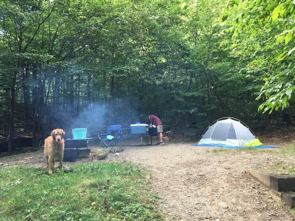 Hollie G.'s photo of camping with pets at Big Rock near Lincoln, NH