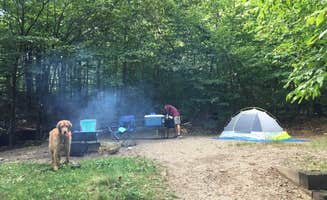 Hollie G.'s photo of camping with pets at Big Rock near White Mountain National Forest
