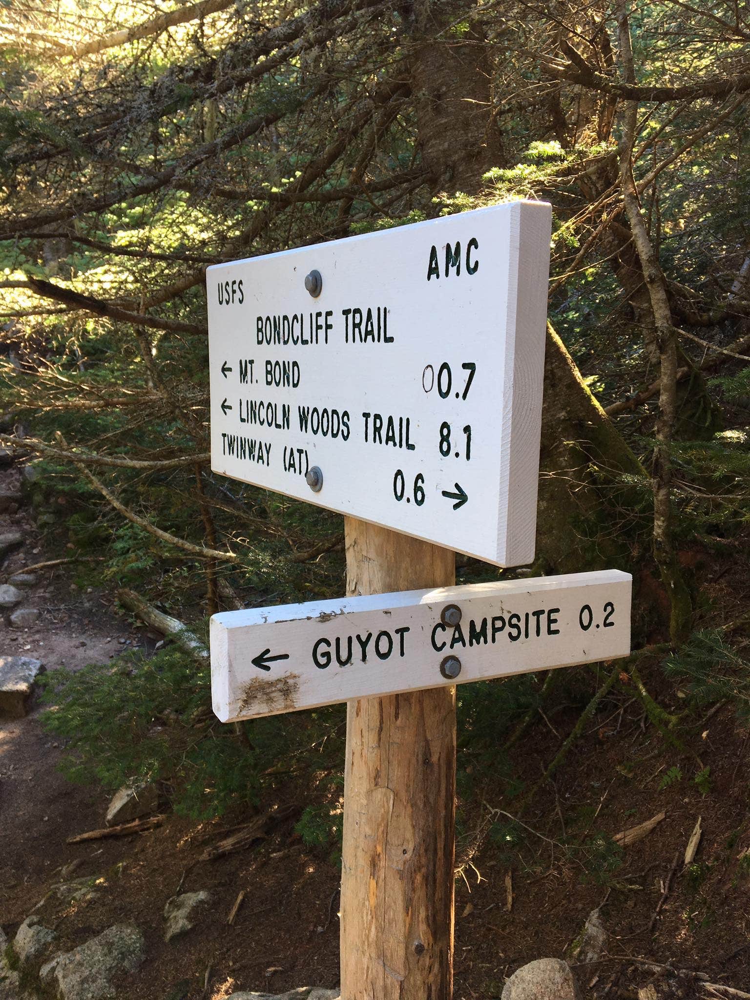 Camper submitted image from Guyot Shelter - Dispersed Camping - 4